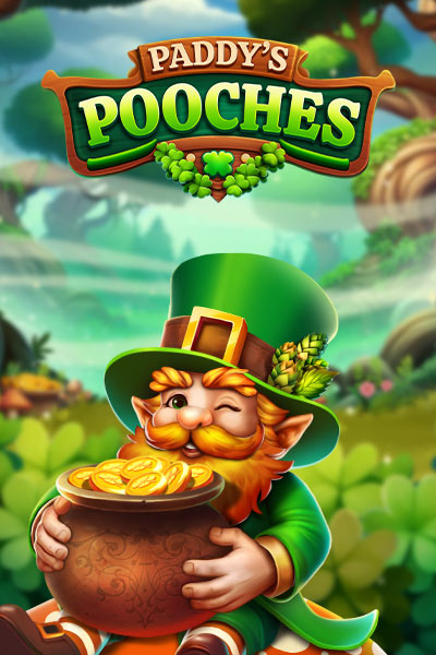 Paddy's Pooches