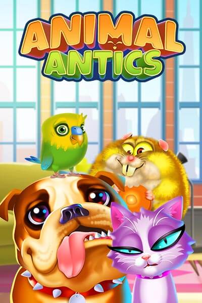 Animal Antics