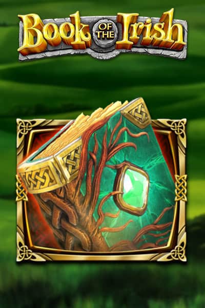 Book of Irish